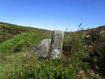 Franklan Dyke Stone