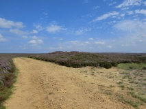 Crook Staff Hill