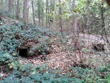 Holy Well, Hildenley - PID:188529