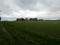 Studfold Ring (Ampleforth)