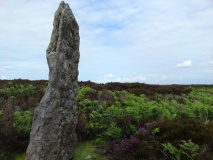 Wheeldale Stones