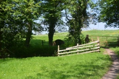 Lady Well (Kirklington)