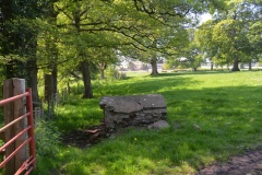 Lady Well (Kirklington)