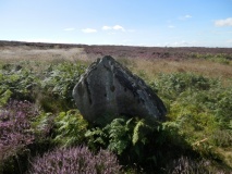 Grey Horse Stone (Stony Marl Moor)