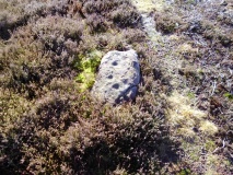 Moorsholm Moor Cup Marked Rock