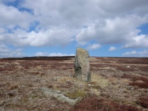 Glaisdale Stone