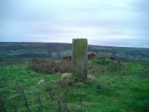 Swarth Howe Cross