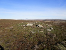 Bransdale Ridge (Low Cornfield House)