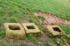 Three Crosses Well (Boulby)