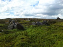 Nab Ridge