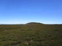 Middle Rigg round barrows and pit alignment