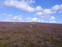 Iron Howe (Cow Ridge)