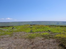 Horn Ridge (Farndale)