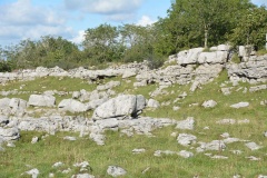 Keld Bank (Ingleborough)