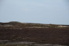 Three Howes Rigg (East)