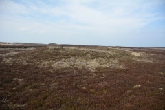 Three Howes Rigg (East)