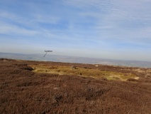 Ring Cairns (Ainthorpe / Danby Rigg)