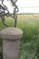 Click for full size image of Robin Hood Close and Little John Close (PID:249802) Robin Hood Close and Little John Close