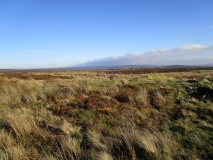 Great Ayton Moor Chambered Cairn