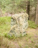 Black Park - PID:276351