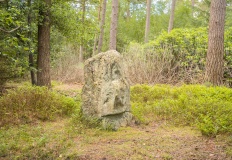 Black Park - PID:276352