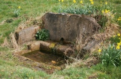 St Swithin's Well (Copt Hewick)
