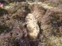 Eston Moor 3b