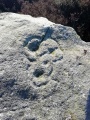 Death's Head Carving (Askwith Moor) - PID:233399