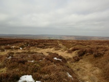 Danby Rigg Double Dyke