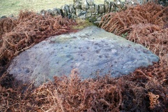 Guisecliffe Cup and Ring Carvings