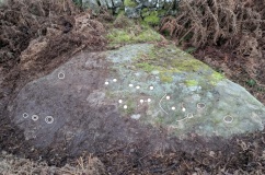 Guisecliffe Cup and Ring Carvings