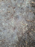 Guisecliffe Cup and Ring Carvings - PID:303205