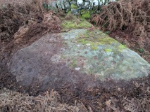 Guisecliffe Cup and Ring Carvings