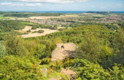 Hanging Stone (Hutton Lowcross Woods)