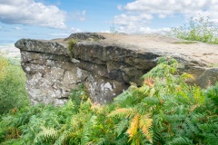 Hanging Stone (Hutton Lowcross Woods)