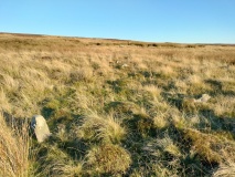 Low Bridestones (N) (Yorks)