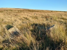 Low Bridestones (N) (Yorks)