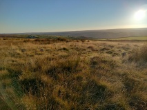 Low Bridestones (N) (Yorks)