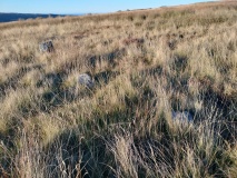 Low Bridestones (N) (Yorks)