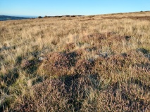 Low Bridestones (N) (Yorks)