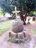 Weeping Cross