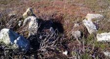 High Snape's ring cairn - PID:220294