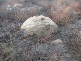 Snowdon Half Moon Stone - PID:233392
