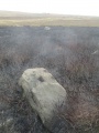 Snowdon Half Moon Stone - PID:233397