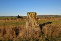 Hartwith Moor