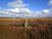 Job Cross (Middle Heads)