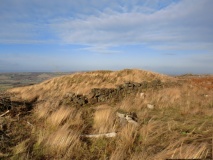 Pinchinthorpe Moor tumuli