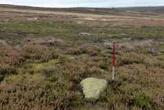 Commondale Moor Stone Circle