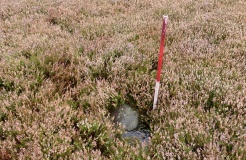 Commondale Moor Stone Circle