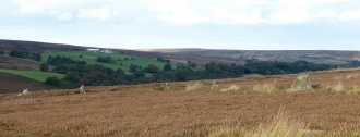 Crown End Alignment and Cross Dyke